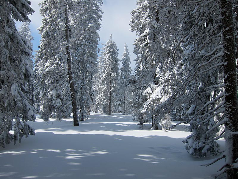 Kuhschneeberg